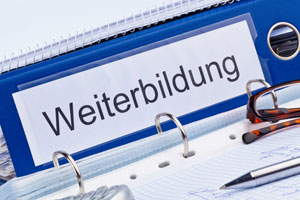 Fernstudieren
