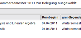 Meine Kursbelegung für das Sommersemester 2011