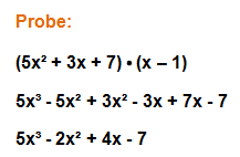 Polynomdivision Probe