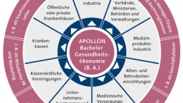 Einsatzfelder Bachelor Gesundheitsökonomie