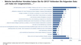 Berufliche Vorsätze für 2013