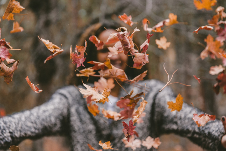 Herbst-Aktion